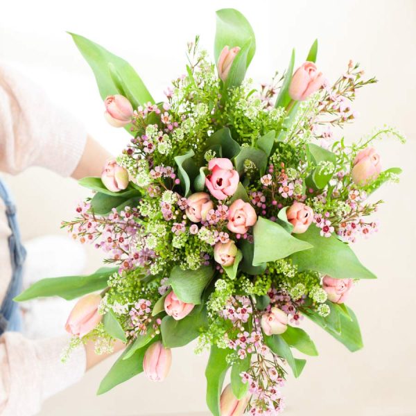 ⁦ורוד וירוק⁩ – תמונה ⁦3⁩