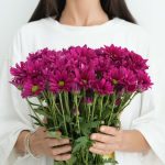 ⁦חרציות נטו סגול כהה⁩ – תמונה ⁦2⁩