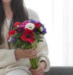 ⁦כלניות נטו במגוון צבעים⁩ – תמונה ⁦2⁩